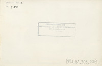 DPSI_B1_F08_0003_d12x18_v.jpg