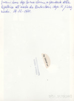 DPSI_B1_F01_0003_d24x18_v.jpg