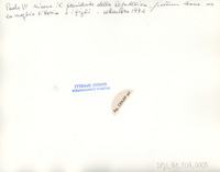 DPSI_B1_F04_0005_d20x25_v.jpg