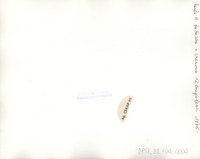 DPSI_B1_F04_0004_d20x25_v.jpg