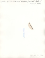 DPSI_B1_F01_0044_d25x20_v.jpg