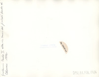 DPSI_B1_F06_0024_d20x25_v.jpg