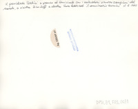 DPSI_B1_F03_0031_d20x25_v.jpg