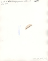 DPSI_B1_F03_0019_d25x20_v.jpg
