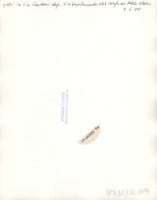 DPSI_B1_F06_0014_d25x20_v.jpg